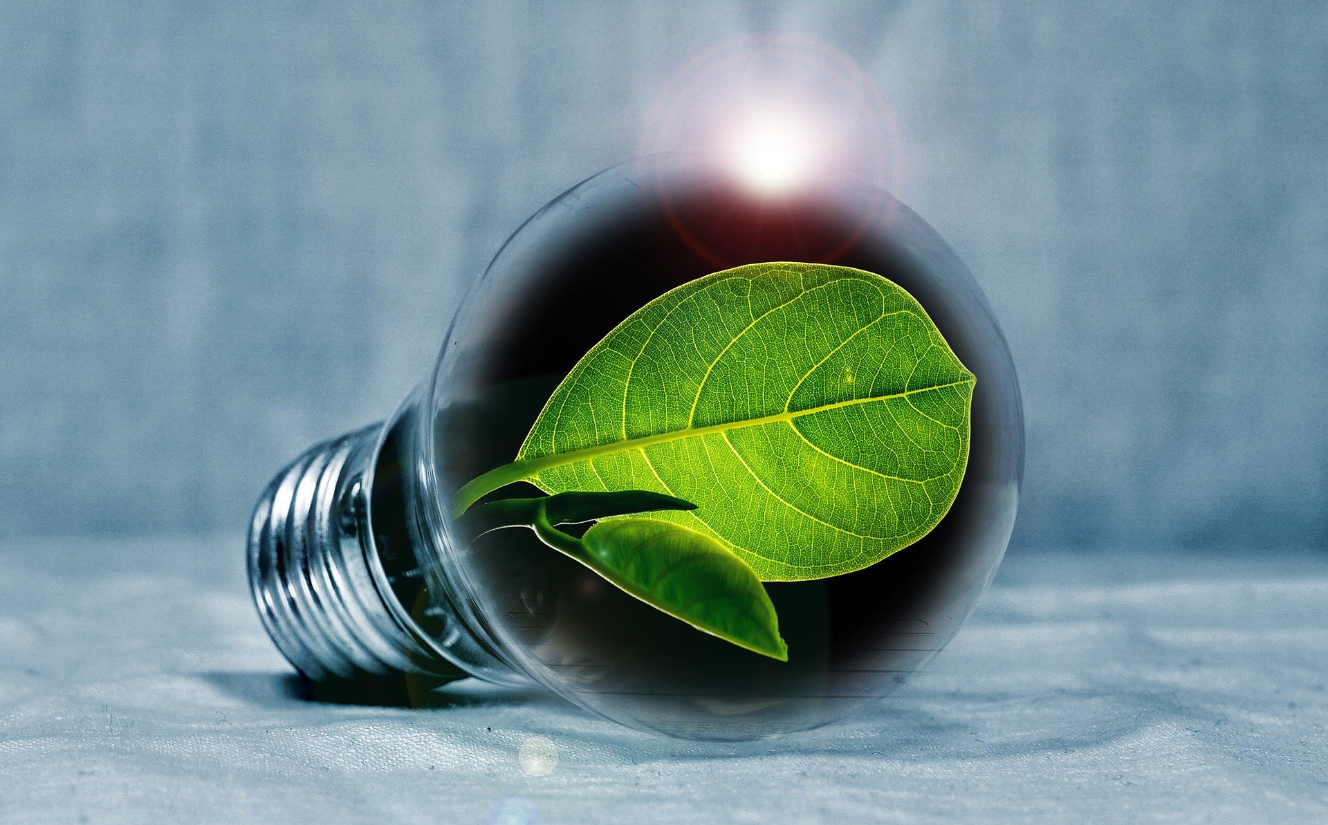 slika lightbulb